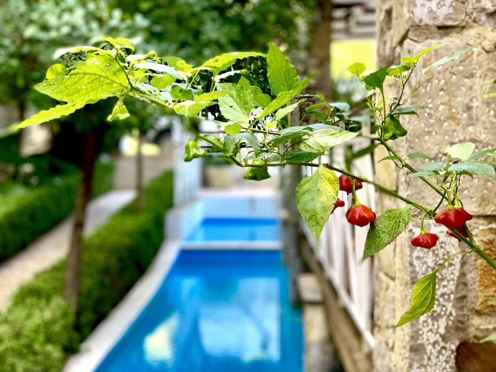 Neda Hotel 올림피아 외부 사진