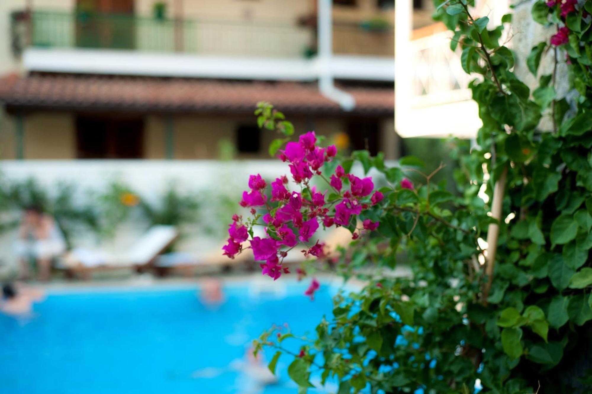 Neda Hotel 올림피아 외부 사진